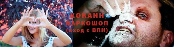 соль ск Алексин