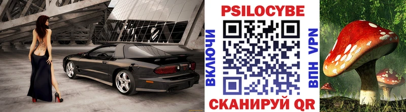 omg   Бийск  Псилоцибиновые грибы прущие грибы 
