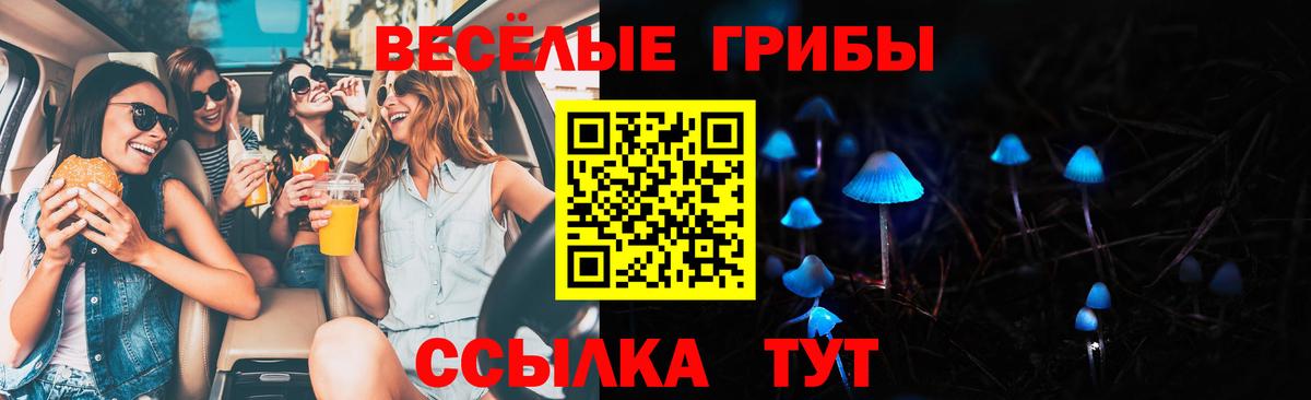 Бийск  где купить наркоту  Вход с VPN  Галлюциногенные грибы MAGIC MUSHROOMS 